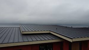 Best Storm Damage Roof Repair  in Tioga, TX